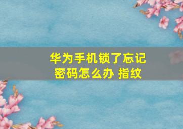 华为手机锁了忘记密码怎么办 指纹